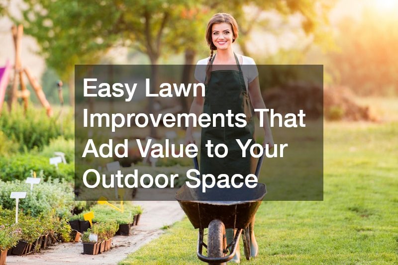 Easy Lawn Improvements That Add Value to Your Outdoor Space