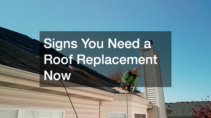 Signs You Need a Roof Replacement Now