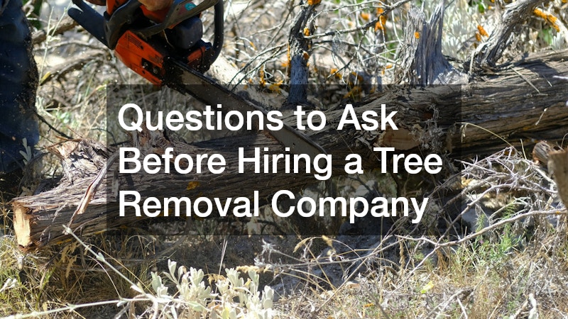 Questions to Ask Before Hiring a Tree Removal Company