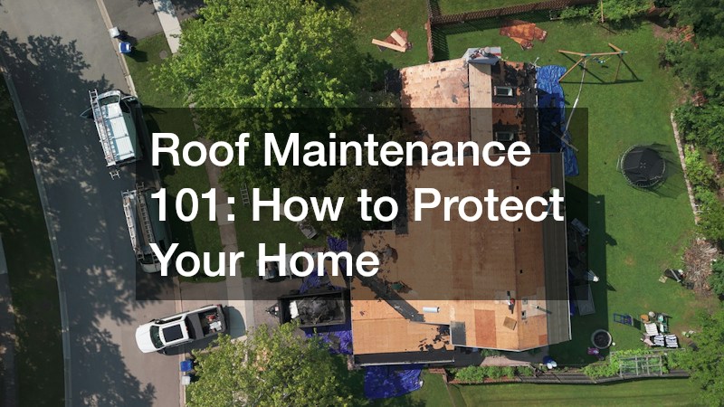 Roof Maintenance 101: How to Protect Your Home